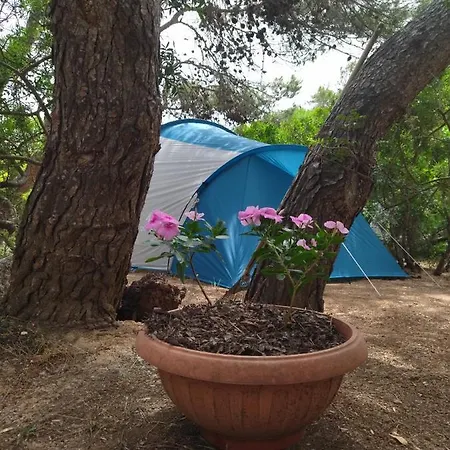 Luxury tent La Pineta Fronte Mare *