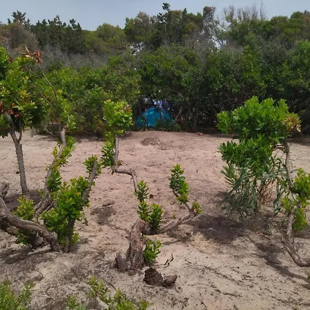 Luxusní stan La Pineta Fronte Mare